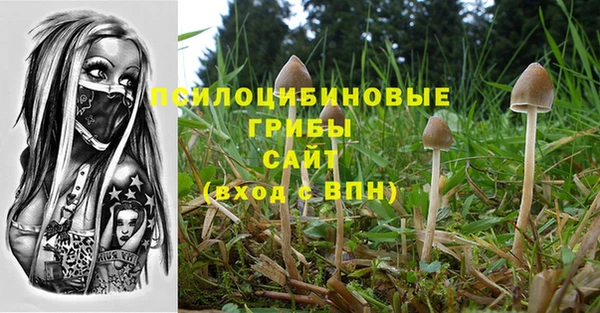ешки Балахна