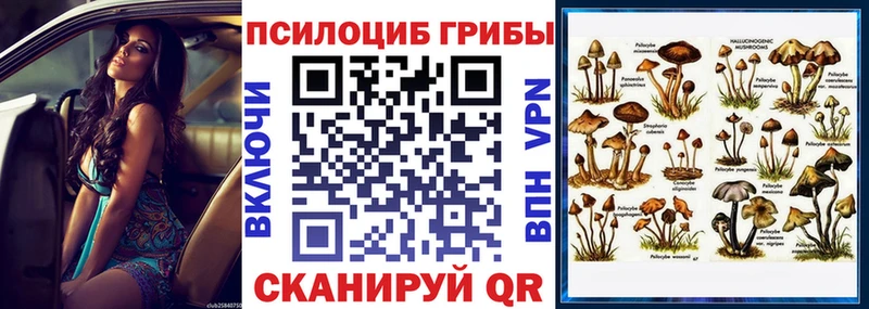 Псилоцибиновые грибы Magic Shrooms  где купить наркоту  даркнет телеграм  Ивангород 